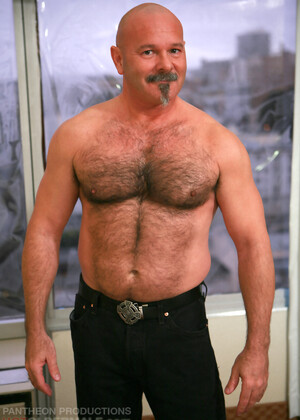 Old bear gets naked
